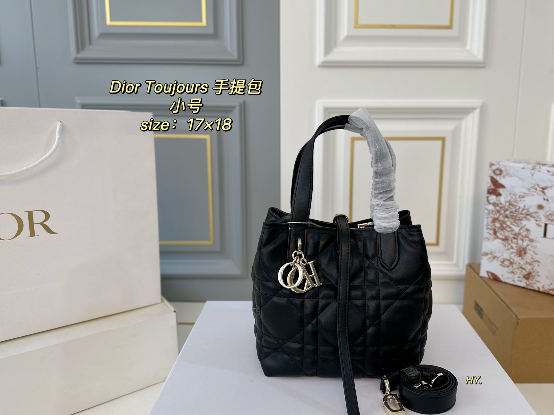 DIOR bag 29